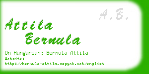 attila bernula business card